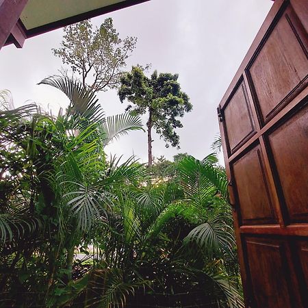 Papaya Cottage チャン島 部屋 写真