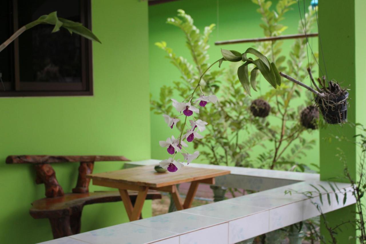 Papaya Cottage チャン島 エクステリア 写真